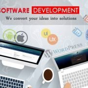 Custom Software Development Company Dallas
