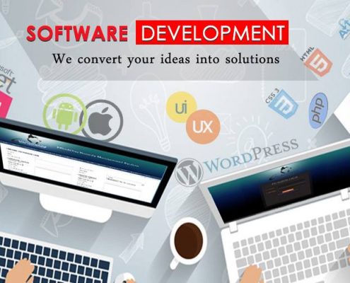Custom Software Development Company Dallas