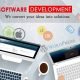 Custom Software Development Company Dallas