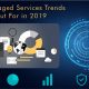 Managed Service Provider