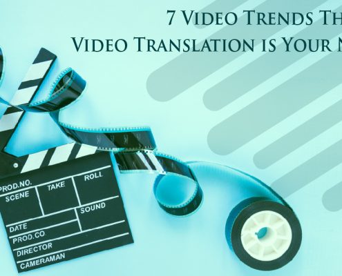 Video translation Services