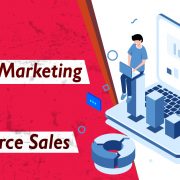 eCommerce Website Development Company