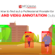 Video and Image Annotation